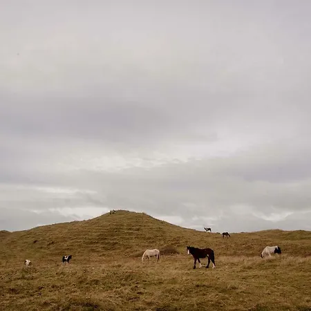 The Wild Atlantic Hideaway Clonakilty